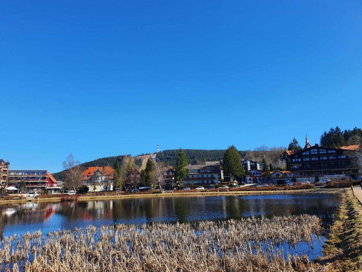Apartment Am Bocksberg II Goslar Ngoại thất bức ảnh